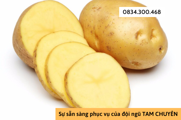 Cách làm sạch nền nhà